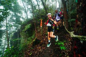 BIB: 
                            <button type="button" onclick="openModal(26231960)" class="btn btn-primary btn-sm float-right btn-popup" data-toggle="modal" data-target=".modal-high-quality">
                        <i class="fas fa-shopping-cart"></i> Add to Cart
                    </button>
                                            <button type="button" onclick="isThisMe(26231960, true)" class="btn btn-success btn-sm float-right btn-popup btn-isme hidden" data-toggle="tooltip" data-placement="bottom" title="นี่คือรูปของคุณใช่ไหม คลิกที่นี่เพื่อเอาเข้าอัลบั้ม">
                        <i class="fas fa-plus"></i> Add to album
                    </button>
                    <button type="button" onclick="isThisMe(26231960, false)" class="btn btn-warning btn-sm float-right btn-popup btn-isnotme hidden">
                        <i class="fas fa-ban"></i> Remove from album
                    </button>